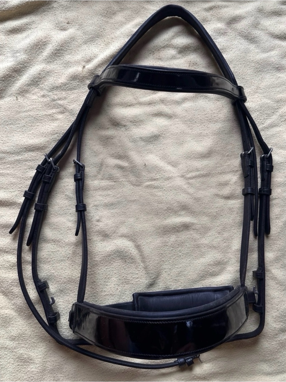 Vespucci patent leather bridle